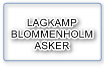 Lagoppstilling for kampen mot Blommenholm Bk